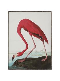 Lienzo enmarcado Flamingo, Multicolor, An 83 x Al 114 cm
