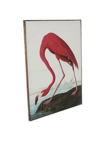 Lienzo enmarcado Flamingo, Multicolor, An 83 x Al 114 cm