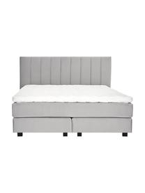 Premium Samt-Boxspringbett Lacey, Matratze: 7-Zonen-Taschenfederkern , Hellgrau, 200 x 200 cm