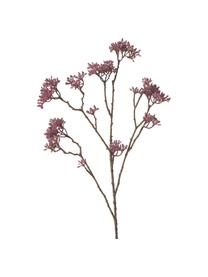 Fiore artificiale Hartriegel, Materiale sintetico, Rosa, marrone, Lung. 75 cm