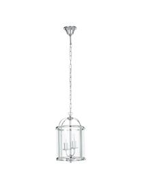 Petite suspension en verre Budgie, Chrome, transparent