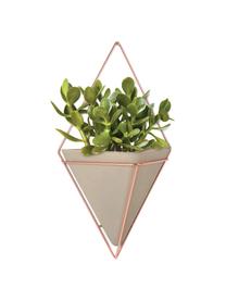 Wandaufbewahrungs-Schale Trigg aus Beton, Aufbewahrung: Beton, Kupferfarben, Beige, B 22 x H 38 cm