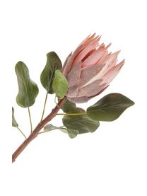 Fiore artificiale cespugli di zucchero Zenia, Poliestere, PCV, metallo, Verde, rosa, Lung. 60 cm