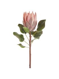 Fiore artificiale cespugli di zucchero Zenia, Poliestere, PCV, metallo, Verde, rosa, Lung. 60 cm