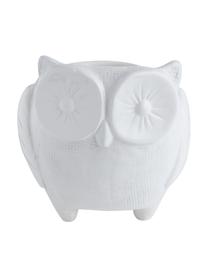 Osłonka na doniczkę XS z dolomitu Owl, Dolomit, Biały, Ø 11 x W 12 cm