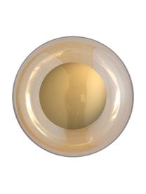Aplique / Plafón pequeño Horizon, Pantalla: vidrio tintado, Estructura: metal recubierto, Beige, dorado, Ø 21 x F 17 cm