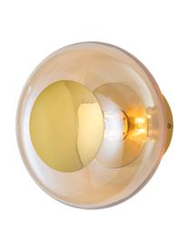 Aplique / Plafón pequeño Horizon, Pantalla: vidrio tintado, Estructura: metal recubierto, Beige, dorado, Ø 21 x F 17 cm