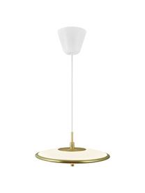 Lampada a sospensione a LED dimmerabile bianco/oro Blanche, Paralume: plastica, metallo, Baldacchino: plastica, Bianco, dorato, Ø 32 x Alt. 14 cm