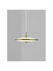 Dimmbare LED-Pendelleuchte Blanche in Weiß/Gold, Lampenschirm: Kunststoff, Metall, Baldachin: Kunststoff, Weiß, Goldfarben, Ø 32 x H 14 cm