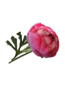 Flor artificial ranunculus Beauty, Rosa, L 34 cm