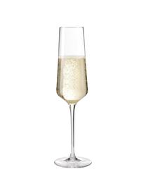 Sektgläser Puccini, 6 Stück, Teqton®-Glas, Transparent, Ø 7 x H 26 cm, 280 ml