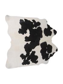 Tappeto in pelle di mucca Otto, Pelle di mucca, Nero, bianco, Pelle di mucca unica 975, 160 x 180 cm