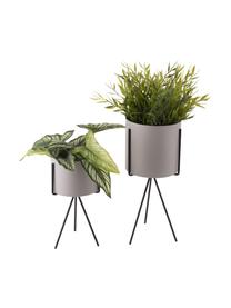 Kleine plantenpottenset Pedestal van metaal, 2-delig, Gecoat metaal, Wit, zwart, Set met verschillende formaten