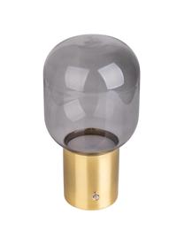 Kleine LED tafellamp Albero, Lampenkap: glas, Lampvoet: gecoat metaal, Goudkleurig, lichtgrijs, Ø 13 x H 25 cm