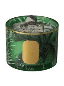 Vela perfumada dos mechas Tropical Jungle, Recipiente: vidrio, Verde, dorado, Ø 11 x Al 8 cm