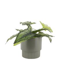 Cache-pot céramique Ribbed, Céramique, Vert, Ø 13 cm x haut. 14 cm