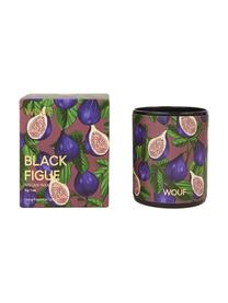 Bougie parfumée noir Figue (figuier), Multicolore