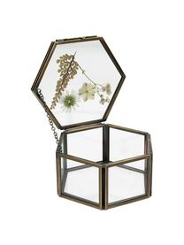Boîte de rangement transparente Dried Flowers, Doré, transparent, larg. 11 x haut. 5 cm