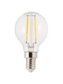 Lampadina a LED E14, 2.5W, bianco caldo, 1 pz, Lampadina: vetro, Trasparente, Ø 5 x Alt. 8 cm