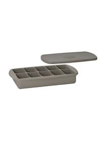 Formina per cubetti di ghiaccio Glins, Coperchio: plastica, Grigio, Larg. 21 x Alt. 4 cm