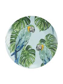 Serviesset Parrot Jungle van porselein, 6 personen (18-delig), Porselein, Groen, meerkleurig, patroon, Set met verschillende formaten