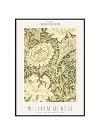 Ingelijste digitale print Chrysantemum - William Morris, Lijst: hout, MDF, Beige, groen, B 32 x H 42 cm