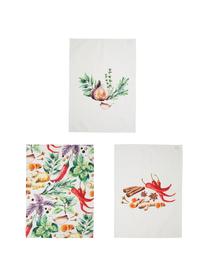 Komplet ręczników kuchennych Epices, 3 elem., Bawełna, Biały, zielony, czerwony, S 50 x D 70 cm