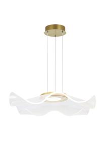 Lámpara de techo LED Velo, Pantalla: vidrio acrílico, Estructura: metal anodizado, Cable: plástico, Transparente, dorado, Ø 50 x Al 50 cm