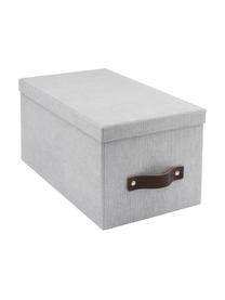 Caja Silvia II, 2 uds., Caja: canvas, cartón rígido (10, Asa: cuero, Gris claro, An 17 x Al 15 cm