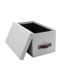 Caja Silvia II, 2 uds., Caja: canvas, cartón rígido (10, Asa: cuero, Gris claro, An 17 x Al 15 cm