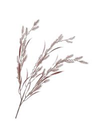 Květinová dekorace Weide, Umělá hmota, kovový drát, Měděná, D 81 cm