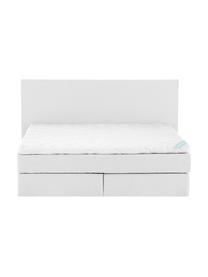 Letto boxspring premium Eliza, Materasso: a molle insacchettate a 7, Piedini: legno di faggio massiccio, Grigio chiaro, 200 x 200