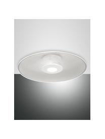 Dimbare LED plafondlamp Anemone, Lampenkap: methacrylaat, Baldakijn: gecoat metaal, Wit, Ø 45 x H 7 cm