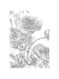 Fotobehang Engraved Flowers, Vlies, milieuvriendelijk en biologisch afbreekbaar, Grijs, wit, B 389 x H 280 cm