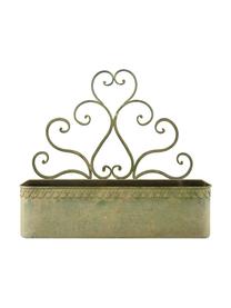 Portavaso da parete Clarissa, Acciaio rivestito, Verde, beige, Larg. 43 x Alt. 38 cm