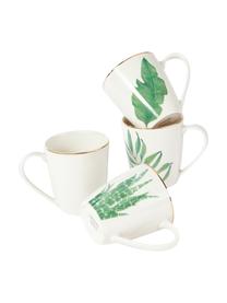 Tazas de porcelana Fine Bone China Timba, 4 uds., Porcelana fina de hueso (porcelana)
Fine Bone China es una pasta de porcelana fosfática que se caracteriza por su brillo radiante y translúcido., Blanco, verde, Ø 9 x 10 cm, 350 ml