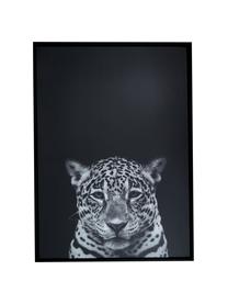 Set de impresiones enmarcadas Wild-Life, 3 pzas., Negro, blanco, An 53 x Al 73 cm