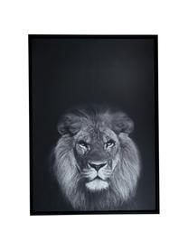 Set de impresiones enmarcadas Wild-Life, 3 pzas., Negro, blanco, An 53 x Al 73 cm