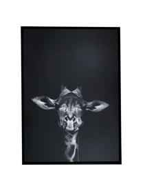 Set de impresiones enmarcadas Wild-Life, 3 pzas., Negro, blanco, An 53 x Al 73 cm