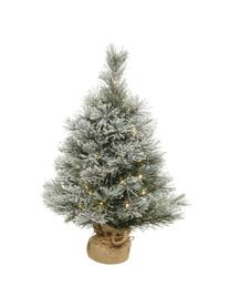 Sapin de Noël artificiel LED enneigé Cashmere haut. 60 cm, Vert, blanc, Ø 40 x haut. 60 cm