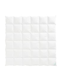 Edredón artesonado de plumón puro Premium, cálido, Blanco, Cama 135/140 cm (200 x 200 cm)