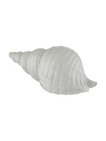 Dekoracja Serafina Shell, Tworzywo sztuczne, Biały, S 24 x W 10 cm