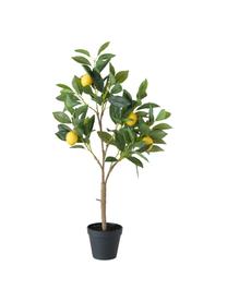 Zitronen-Kunstbaum Gino, Kunststoff, Mehrfarbig, B 30 x H 73 cm