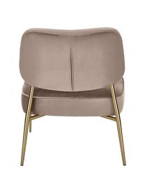 Samt-Loungesessel Viggo, Bezug: Samt (Polyester) 50.000 S, Beine: Metall, pulverbeschichtet, Samt Taupe, B 62 x T 67cm