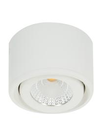 Spot plafond LED blanc Anzio, Blanc, Ø 8 x haut. 5 cm