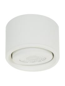 LED plafondspot Anzio in wit, Lamp: gecoat aluminium, Wit, Ø 8 x H 5 cm