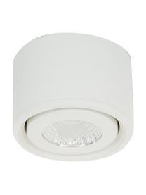 Spot plafond LED blanc Anzio, Blanc, Ø 8 x haut. 5 cm