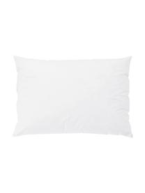Imbottitura per cuscino in piume Comfort, 40 x 60, Bianco, Larg. 40 x Lung. 60 cm