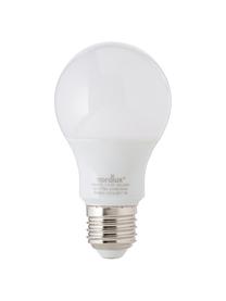 Lampadina a LED Morning (E27 / 5Watt), Paralume: vetro opale, Base lampadina: alluminio, Bianco, Ø 7 x Alt. 11 cm