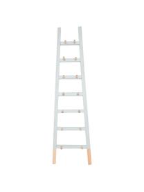 Ladderrek Agun, Gecoat grenenhout, Grijs, B 46 x H 170 cm